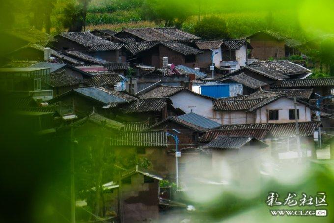 探索自考本科怎么拿证,加入知识星球平台