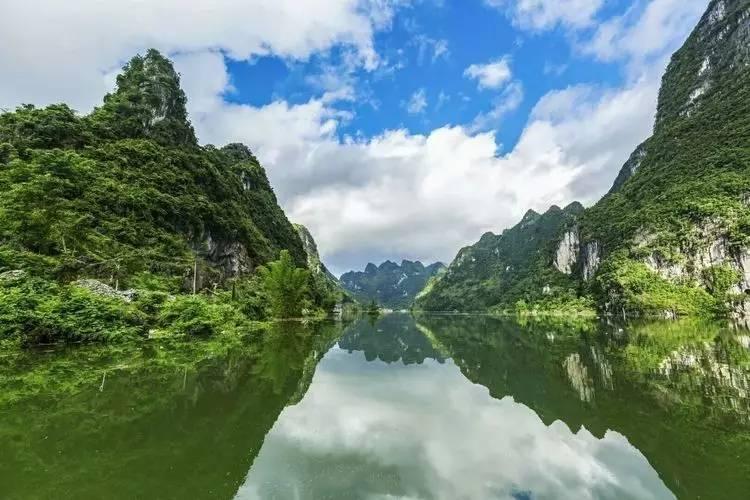 救援受困的小野猫