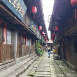步履铿锵 2023年