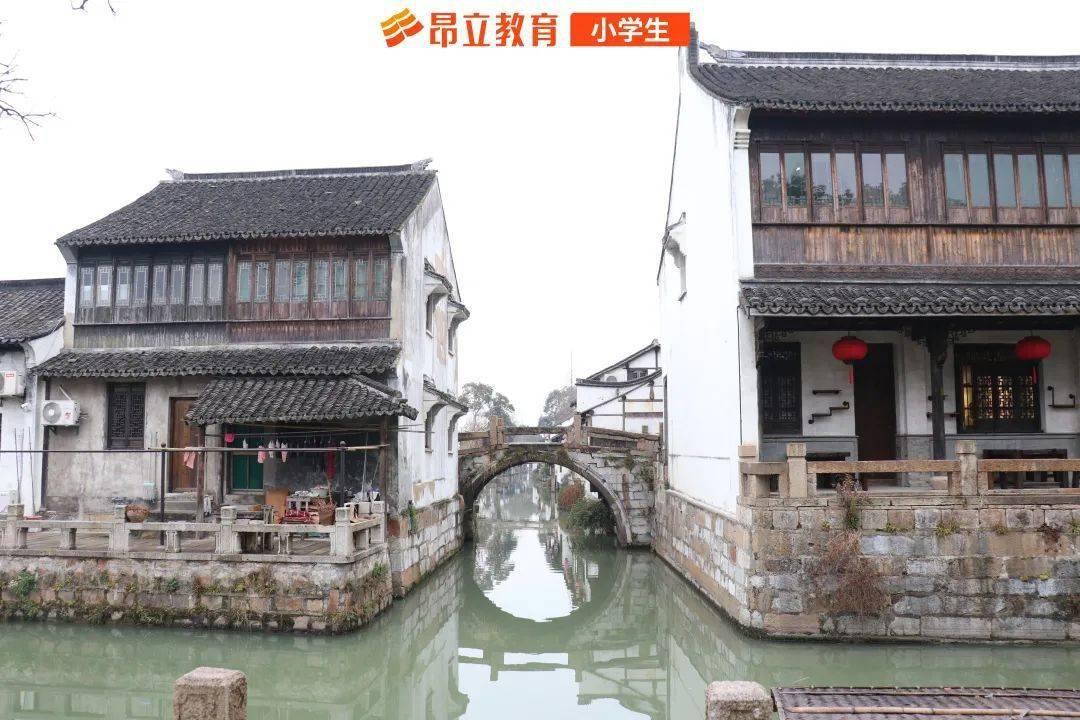 拿破仑：全面战争